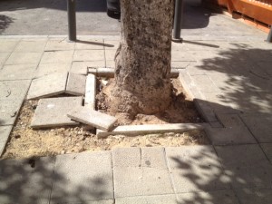 la foto 2 (3)